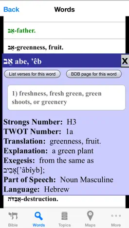 Game screenshot HebrewBible hack
