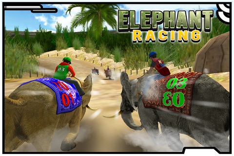 Elephant Racing screenshot 2