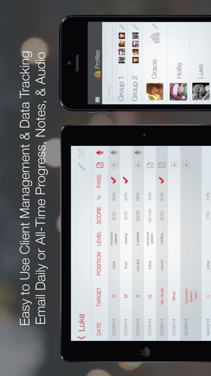 Word Vault Pro