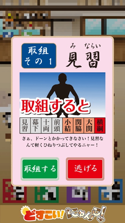 どすこい!にゃんこ!-横綱めざすニャー!食べて稽古して取組する育成ゲーム-