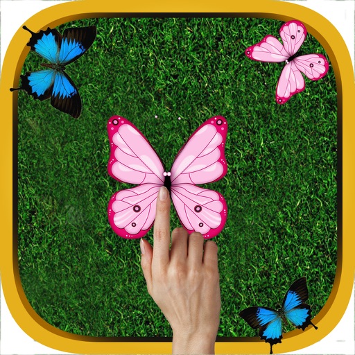 Butterfly Smasher iOS App