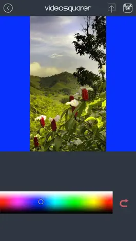 Game screenshot VideoSquarer - Videosquare app for Instagram, Full size video hack