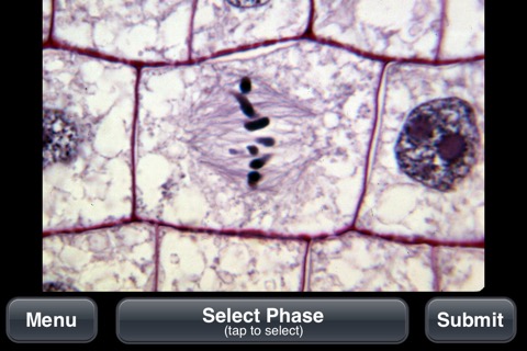 Plant Histology Liteのおすすめ画像4