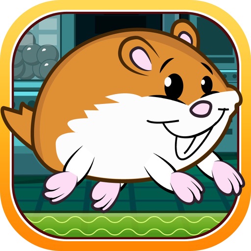 Hammy the Super Pet Hamster Runner Pro Icon