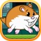 Hammy the Super Pet Hamster Runner Pro