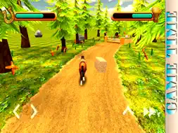 Horse Simulator 2015 screenshot 7