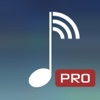 MyAudioStream HD Pro UPnP audio player and streamer for iPad