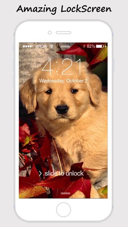 Cute Dogs and Puppy Wallpapers screenshot-4