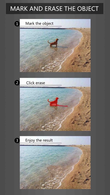PhotoEraser Inpaint