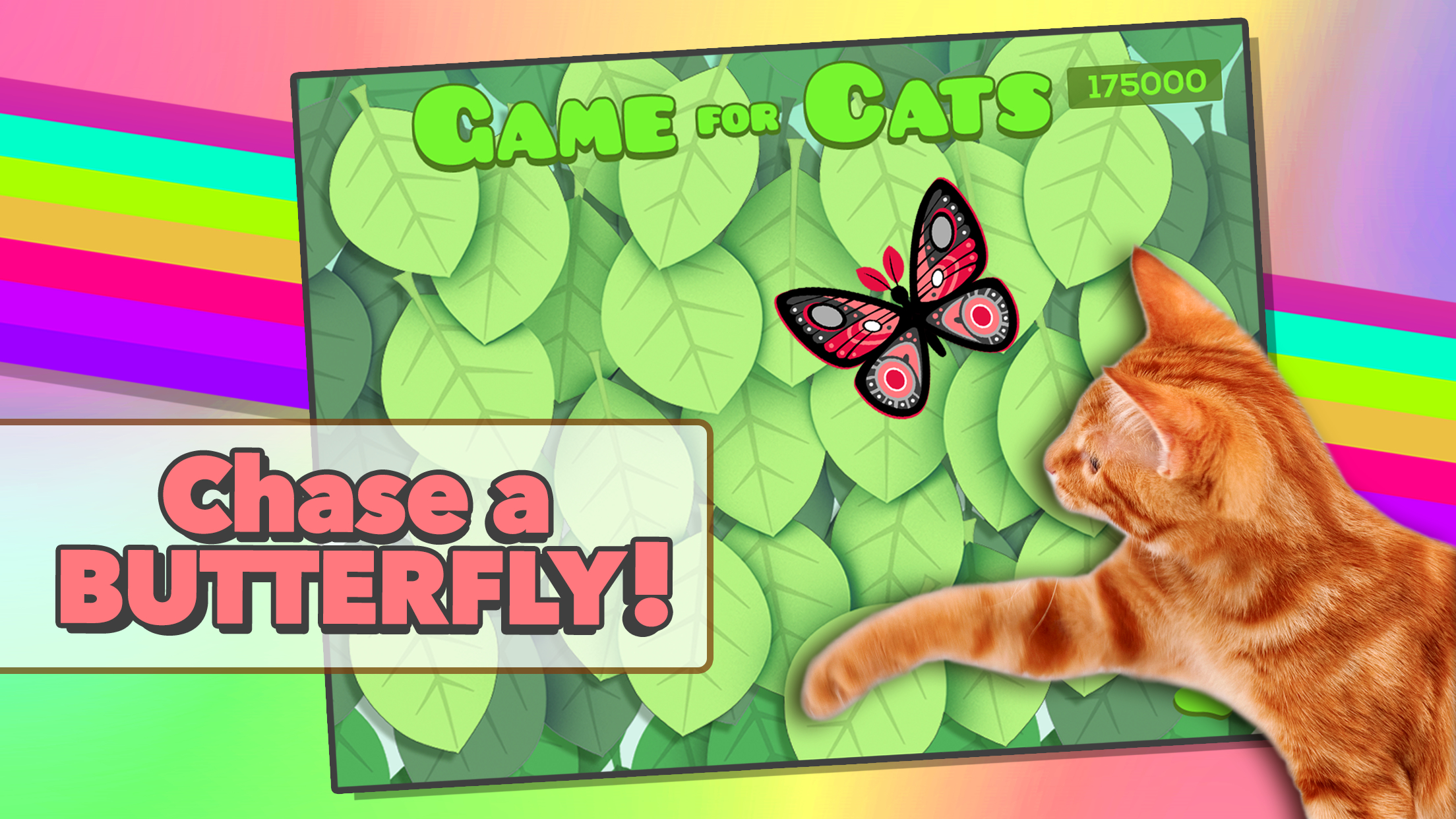 Game for Cats