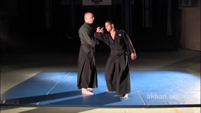 Ninjutsu(圖4)-速報App
