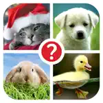 Guess the word ~ 4 Pix riddle /// 4 картинки ~ угадай слово по фото App Positive Reviews