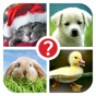 Guess the word ~ 4 Pix riddle /// 4 картинки ~ угадай слово по фото app download