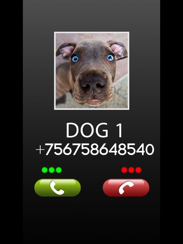 ‎Fake Call Dog Prank