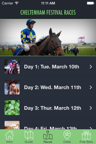 Cheltenham Festival screenshot 3