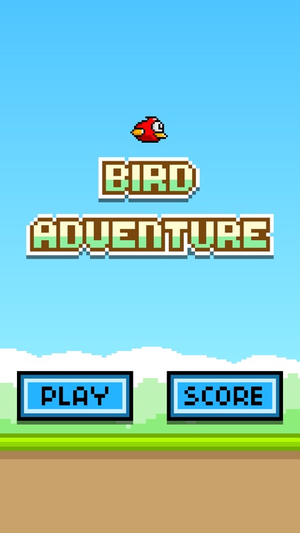 Bird Adventure