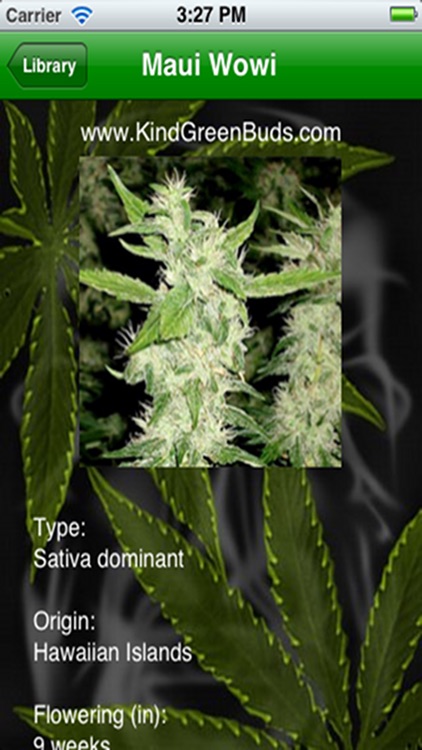 Marijuana Handbook Lite