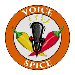 Voice Spice Online Recorder app icon