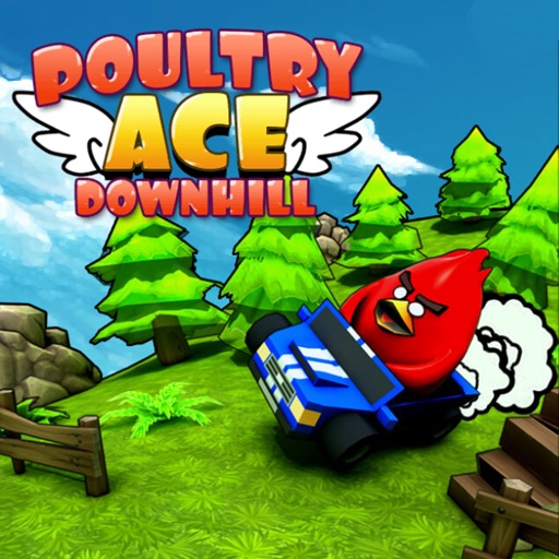 Poultry ACE Downhill Car Fun icon