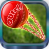 Cricket quiz fantasy