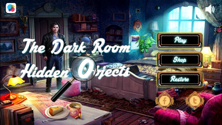 The Dark Room hidden object