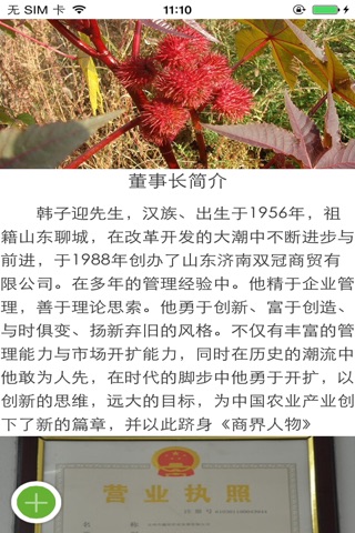中国优质蓖麻油供应商 screenshot 2