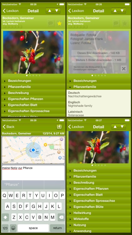 Heilpflanzen Lexikon