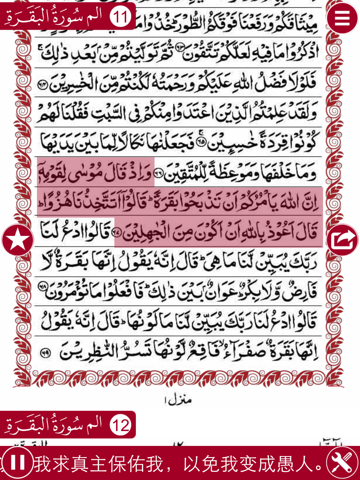 Holy Quran Complete Offline Recitation and Chinese Audio Translation (100% Free)のおすすめ画像1