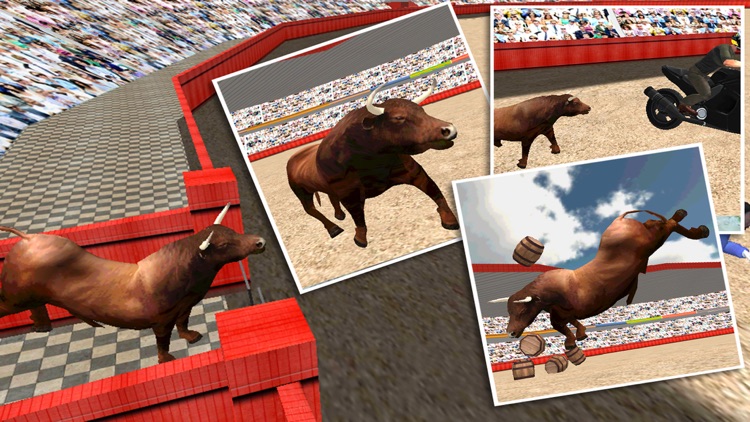 Angry Bull Fighter Simulator 3D