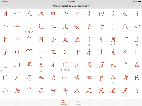 Screenshot #4 pour Kangxi Radicals