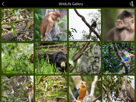 OrangUtan - Indonesia iPad screenshot 5 - Travel app