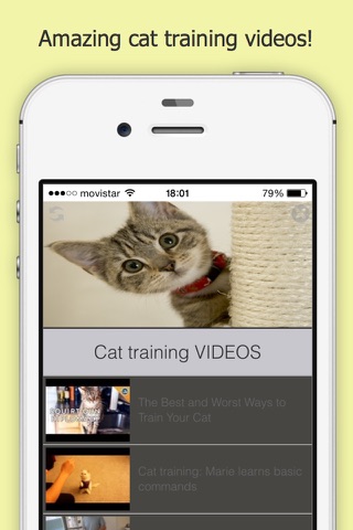 How You Can Train your Cat Free screenshot 4