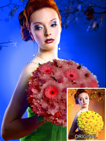 Screenshots of Color Effects - Recolor Pictures; Pop/Edit/Paint Photo Highlights into Twitter and Instagram for iPad