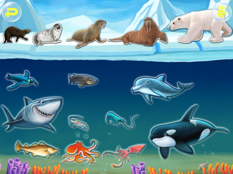 Screenshot #4 pour Amazing Ocean Animals- Educational Learning Apps for Kids Free