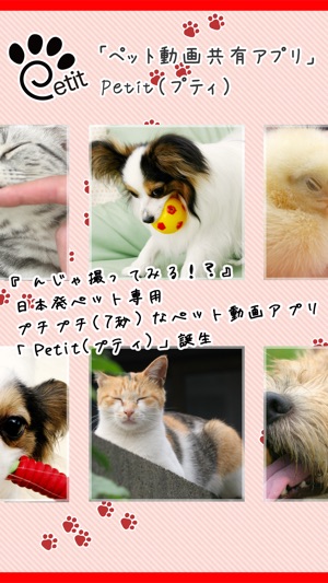 Petit(プティ)(圖1)-速報App
