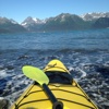 Kayak Beginners Guide: Tutorial Video and Latest Trends
