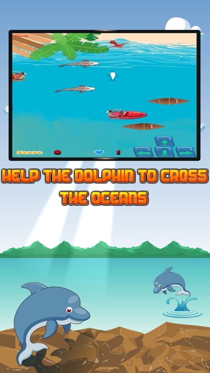 Dolphin Swim Adventure: Keep the Oceans Safe