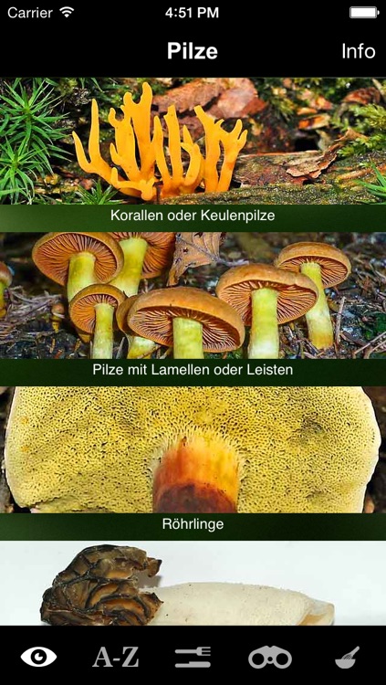 Pilze Sammeln, Bestimmen und Zubereiten - der Pilzführer für Wald und Natur