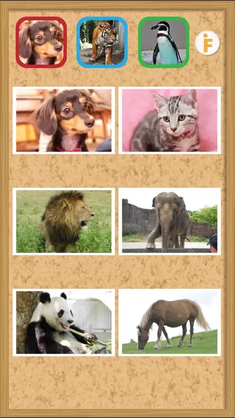 Muna Flashcards