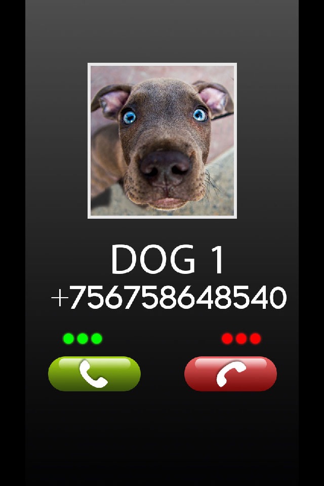 Fake Call Dog Prank screenshot 3