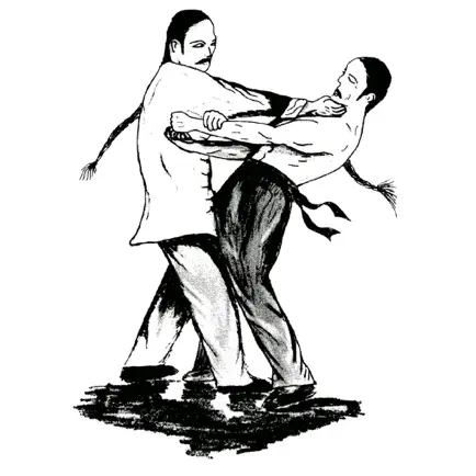 Wing Chun Techniques Cheats