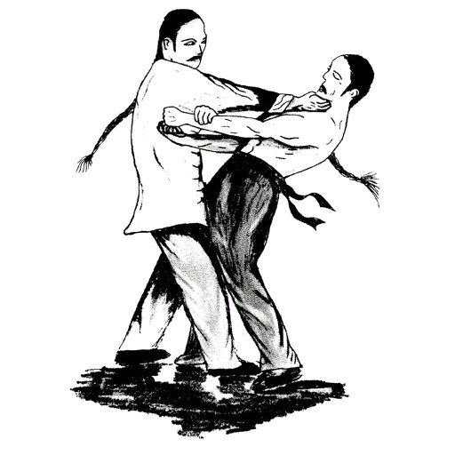 Wing Chun Techniques icon