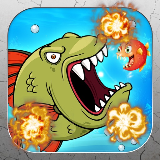 Feeding Frenzy- Bomber Fish Icon