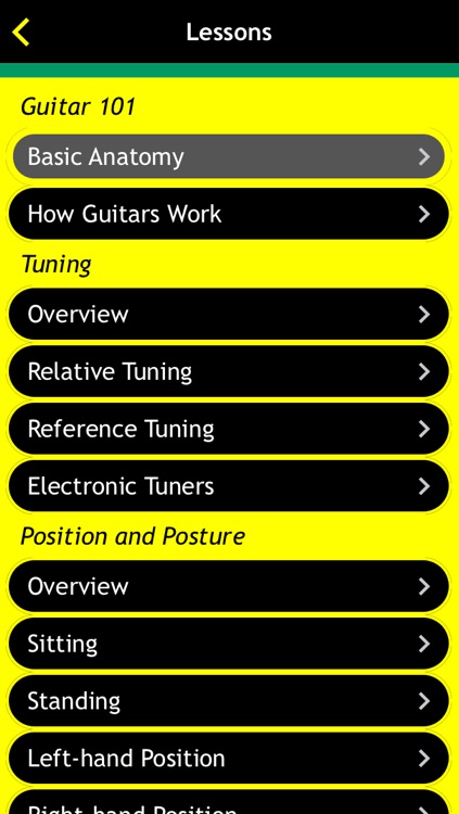 Guitar Basics For Dummies