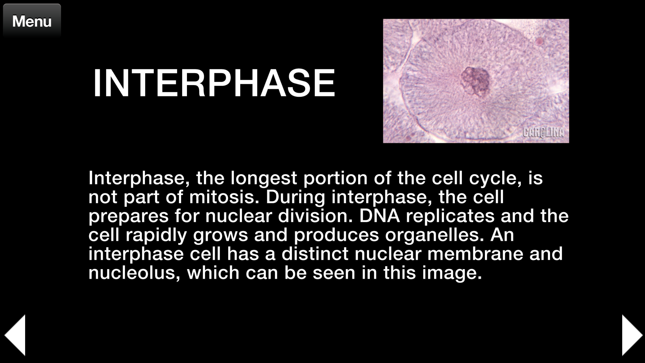 Animal Histology Free