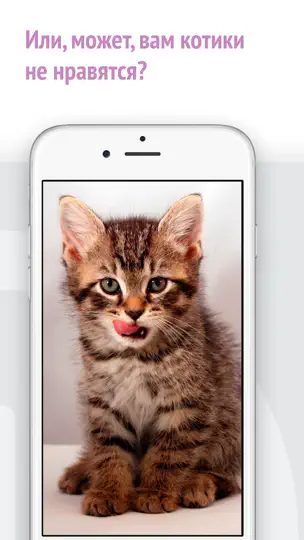 Скриншот Найди кота! на iPhone 4