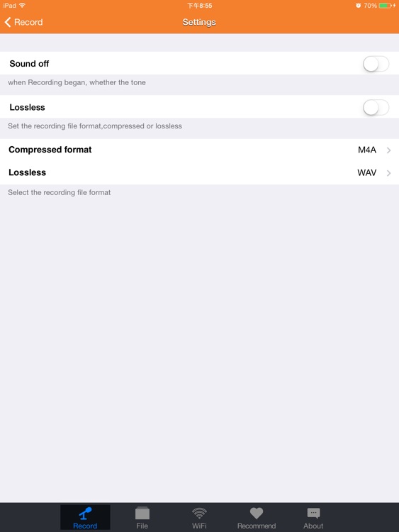 Simple Recorder screenshot-4
