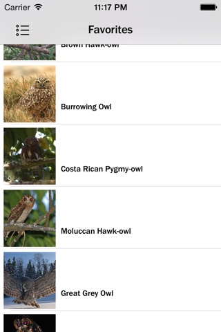 Owls Guru screenshot 3