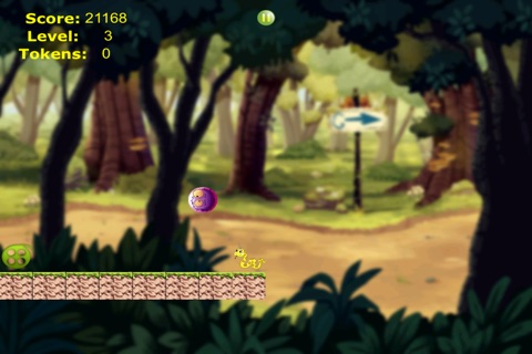 Ball of Furry Fun PAID - Cute Little Animal Adventure Dash screenshot 3