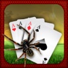 Wild Spider Solitaire